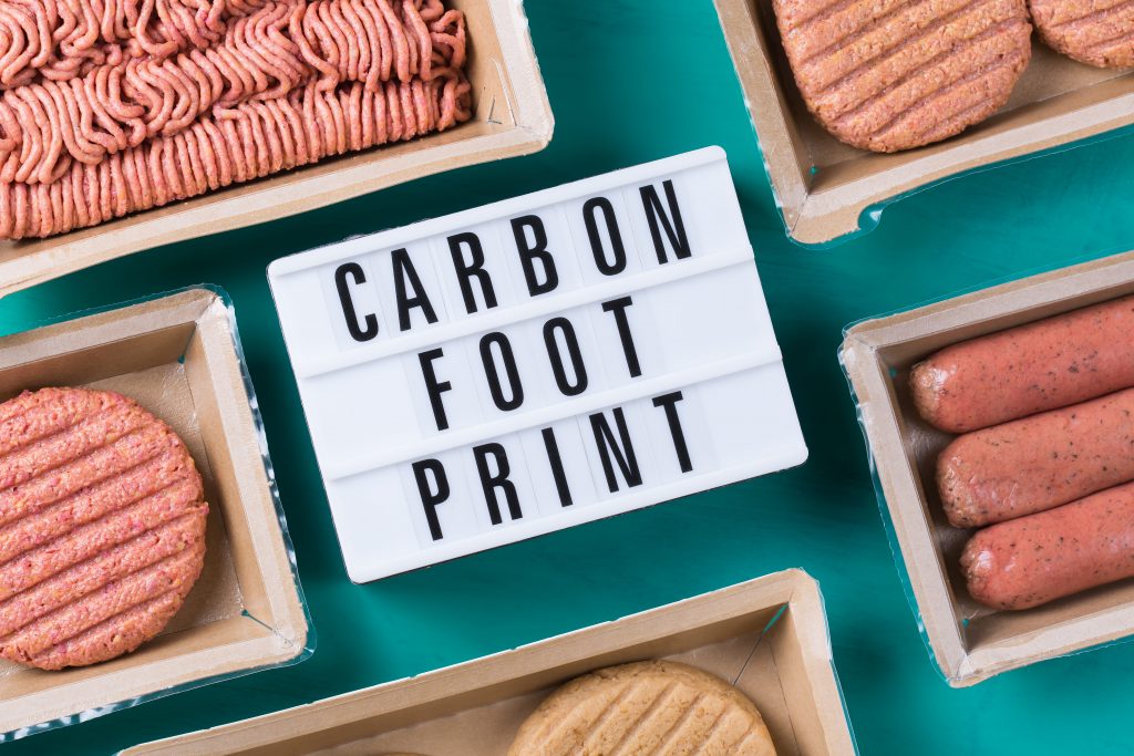 Reduce Your Carbon Footprint